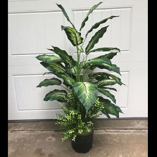 Marble Dieffenbachia One-Of-A-Kind - Artificial Trees/Floor Plants - artificial floor plants for rent